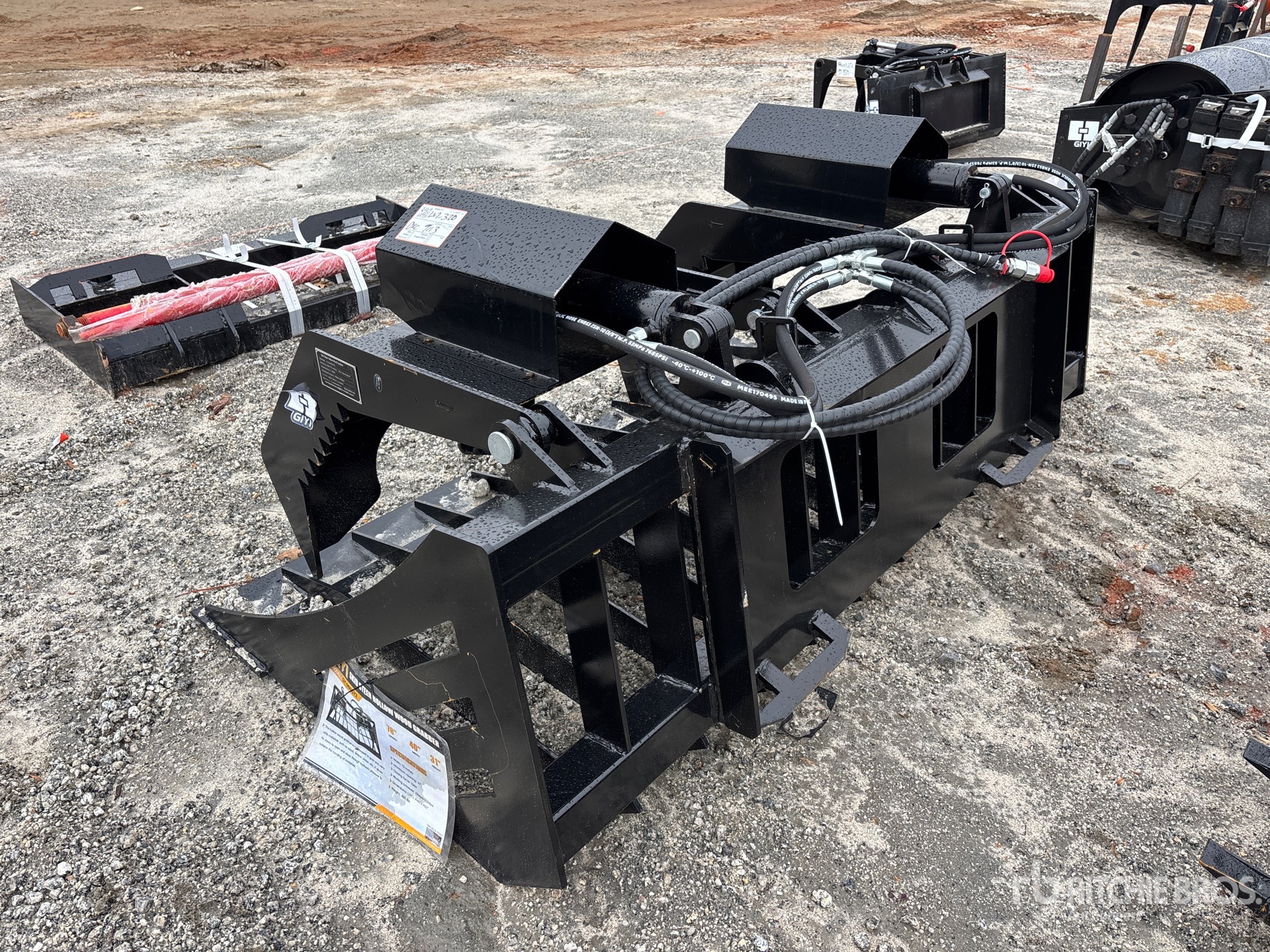 General Appearance with Zdjęcie, lewy dolny róg