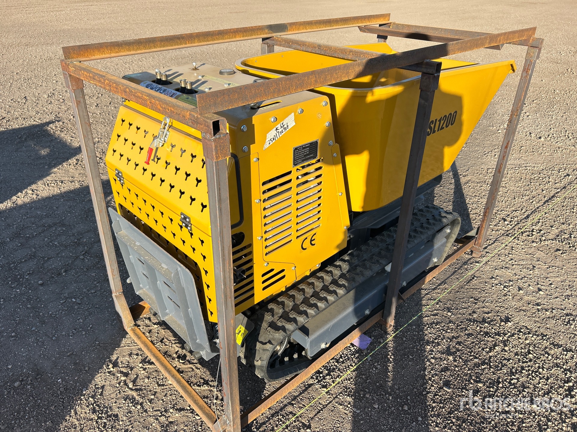 General Appearance with Foto, angolo anteriore sinistro