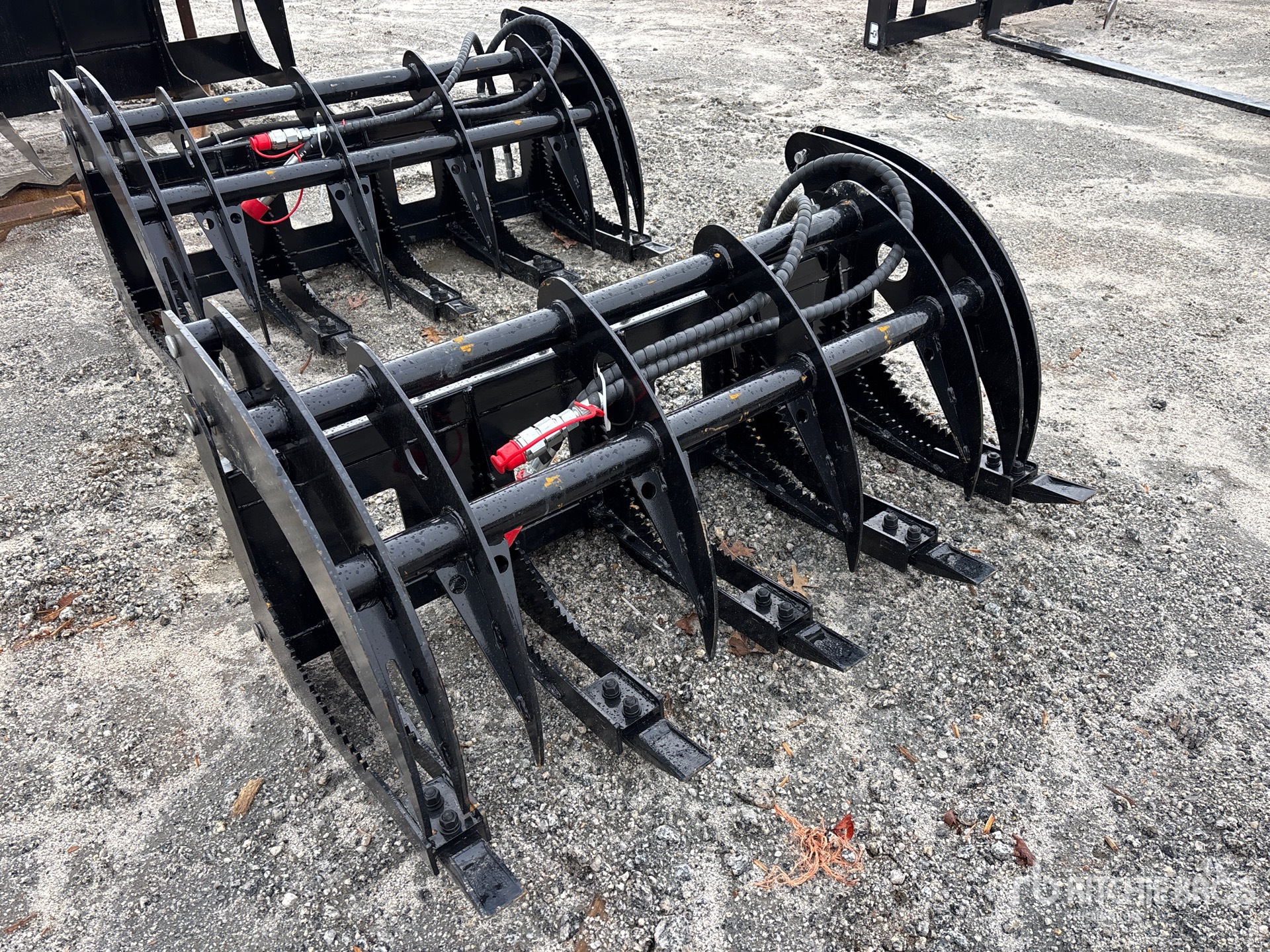 General Appearance with Zdjęcie, prawy górny róg