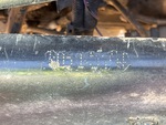 General Appearance with Second Serial Number/VIN Photo