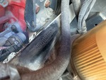 General Appearance with Second Serial Number/VIN Photo