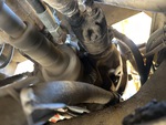 Hydraulics with Pumps (Hydraulics)
