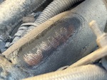 General Appearance with Second Serial Number/VIN Photo