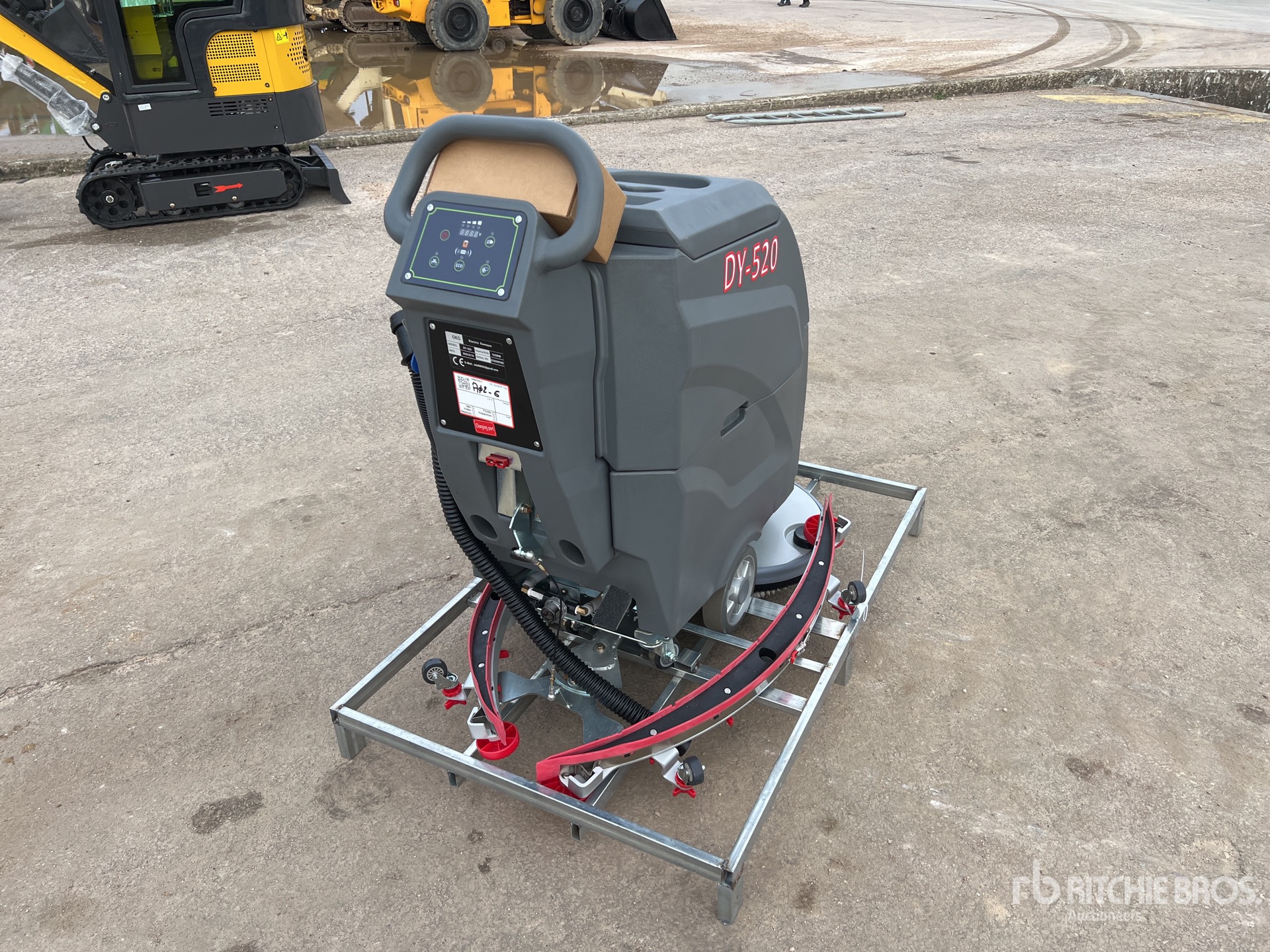 General Appearance with 