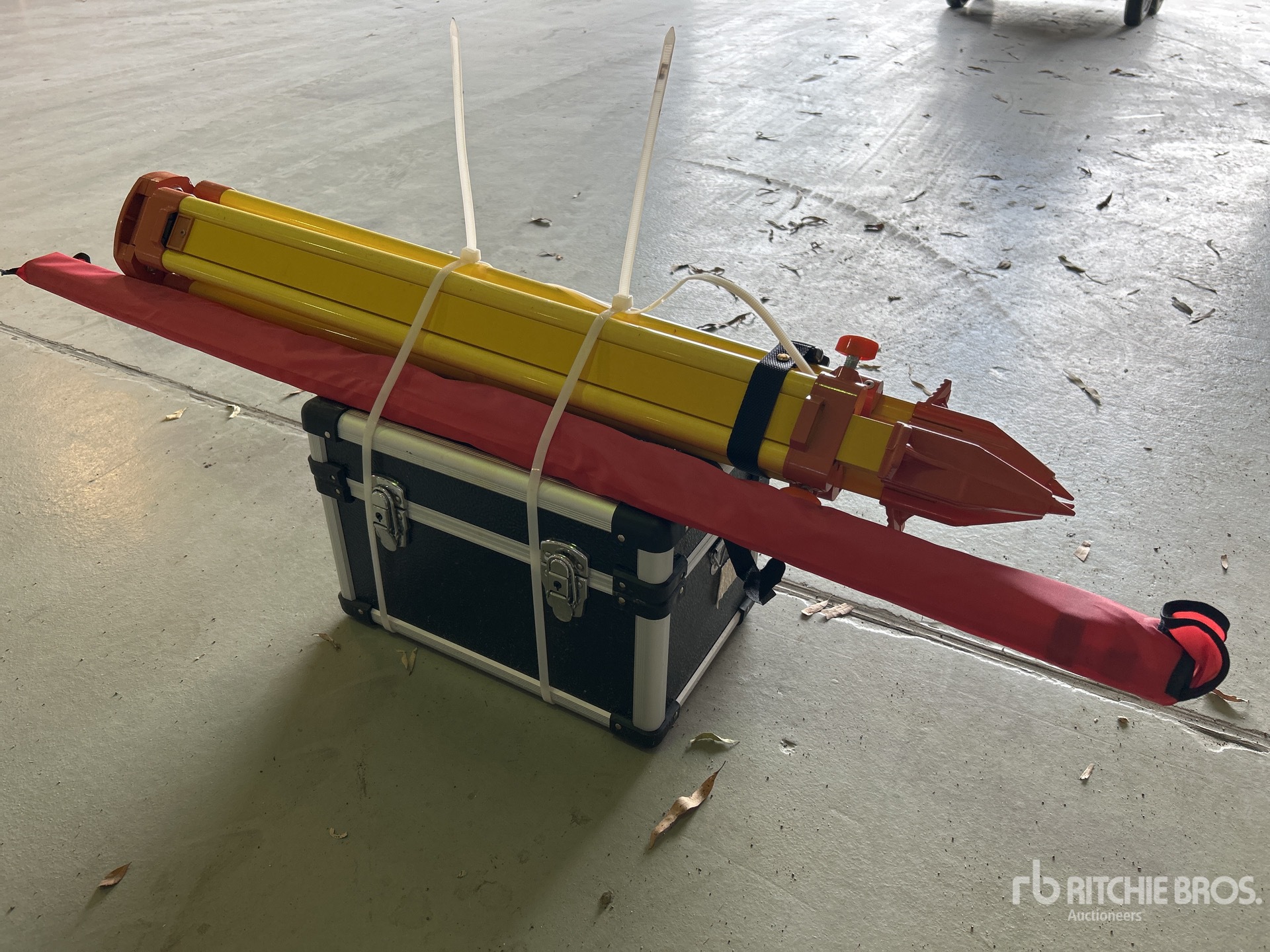 General Appearance with Image, coin arrière droit