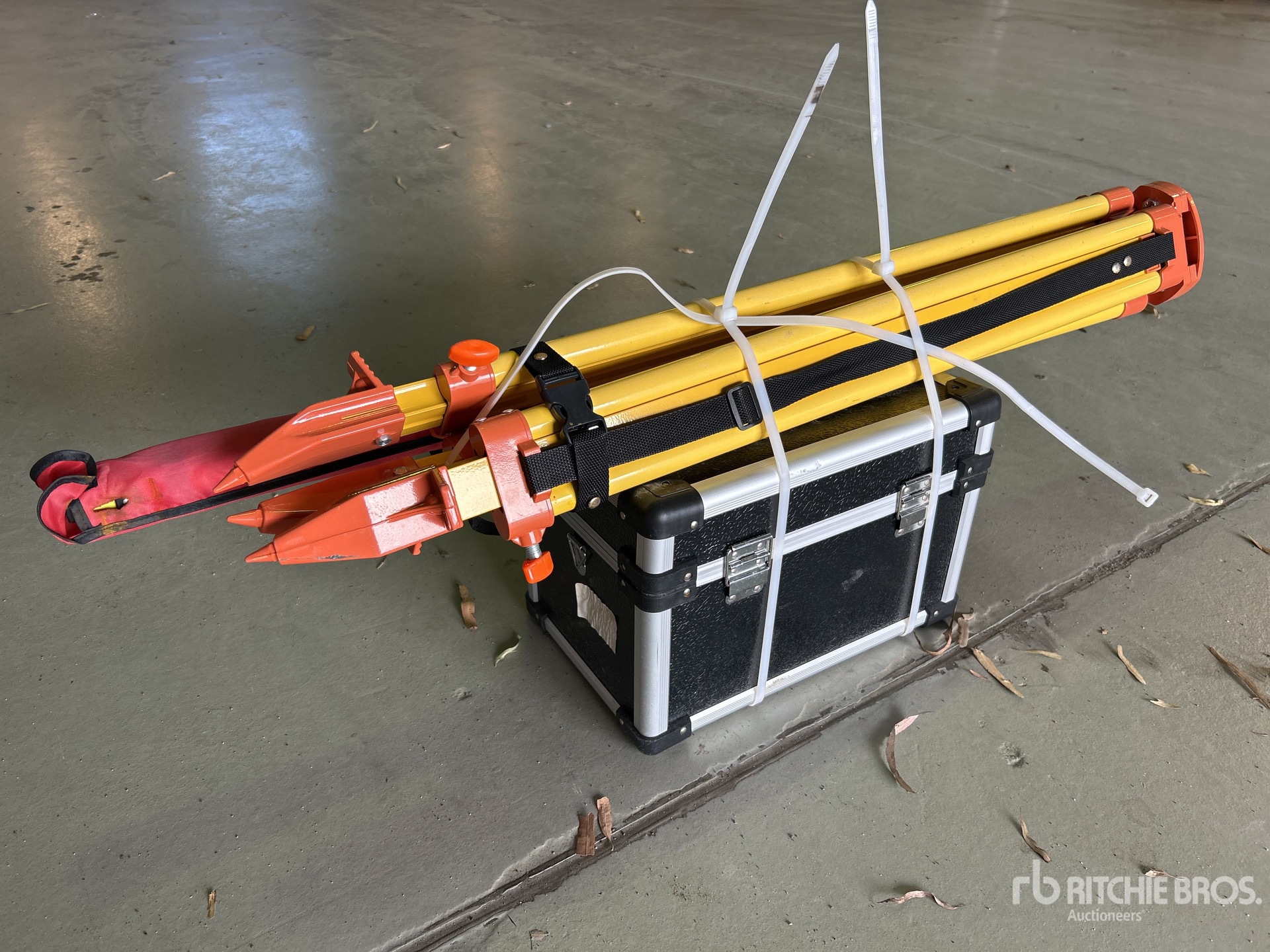 General Appearance with Image, coin avant droit