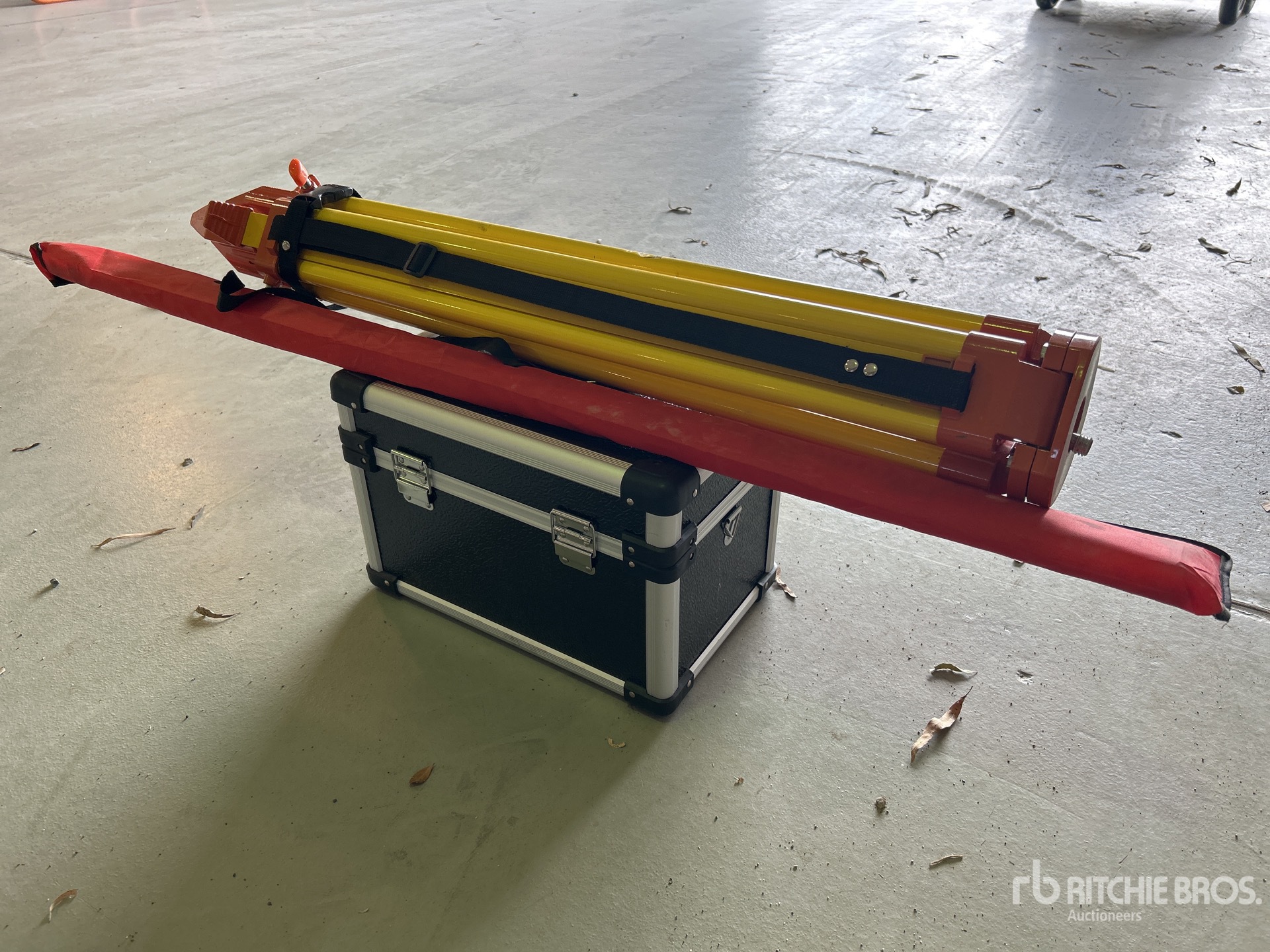 General Appearance with Image, coin arrière droit