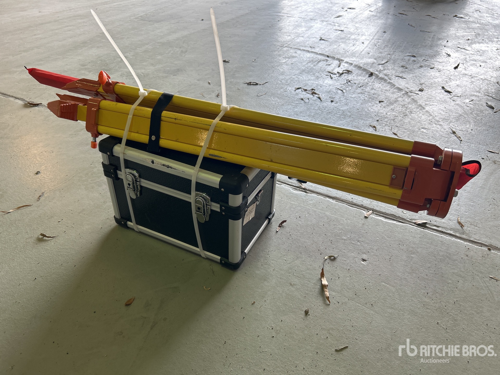 General Appearance with Image, coin arrière droit