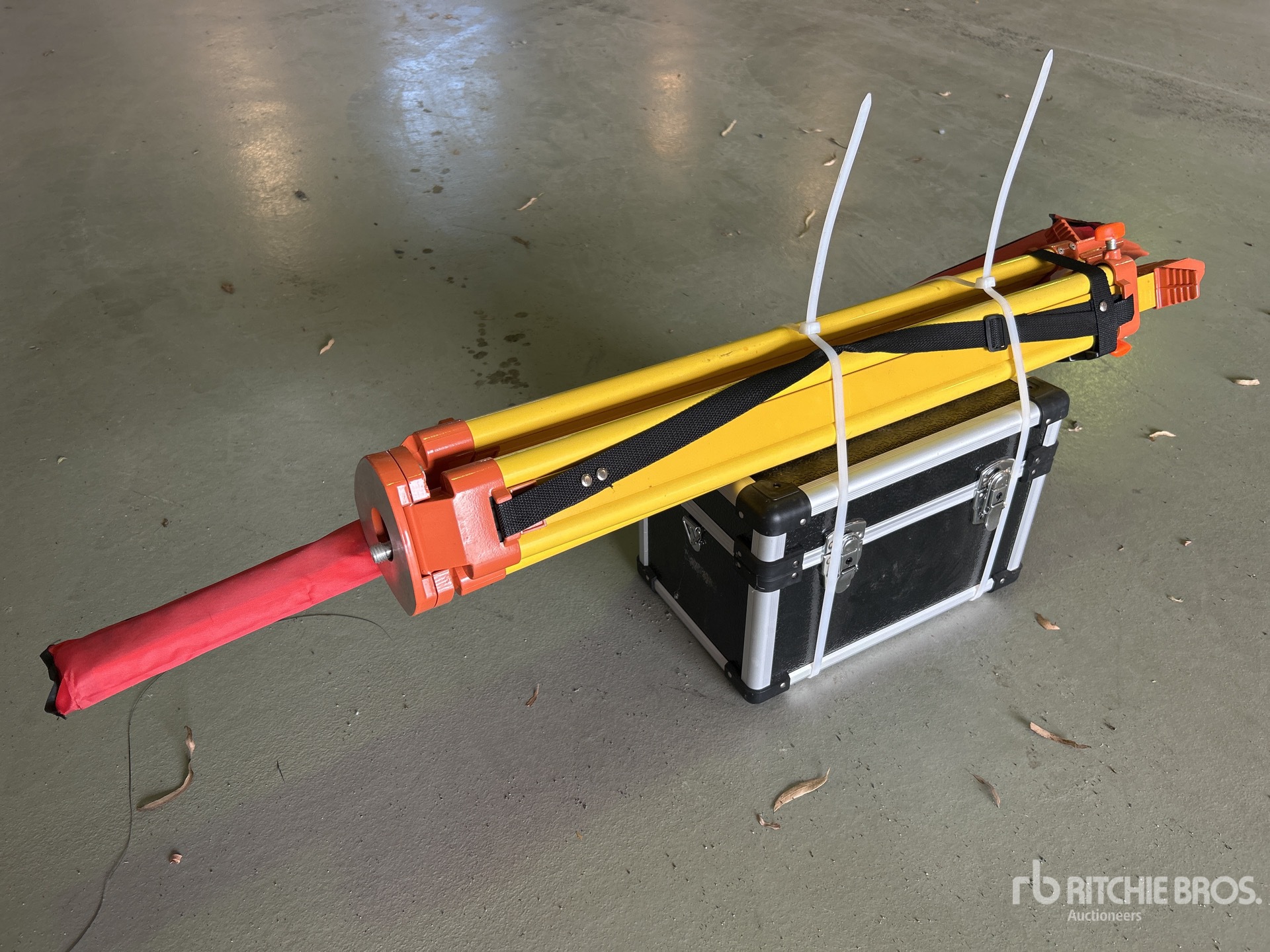 General Appearance with Image, coin avant droit