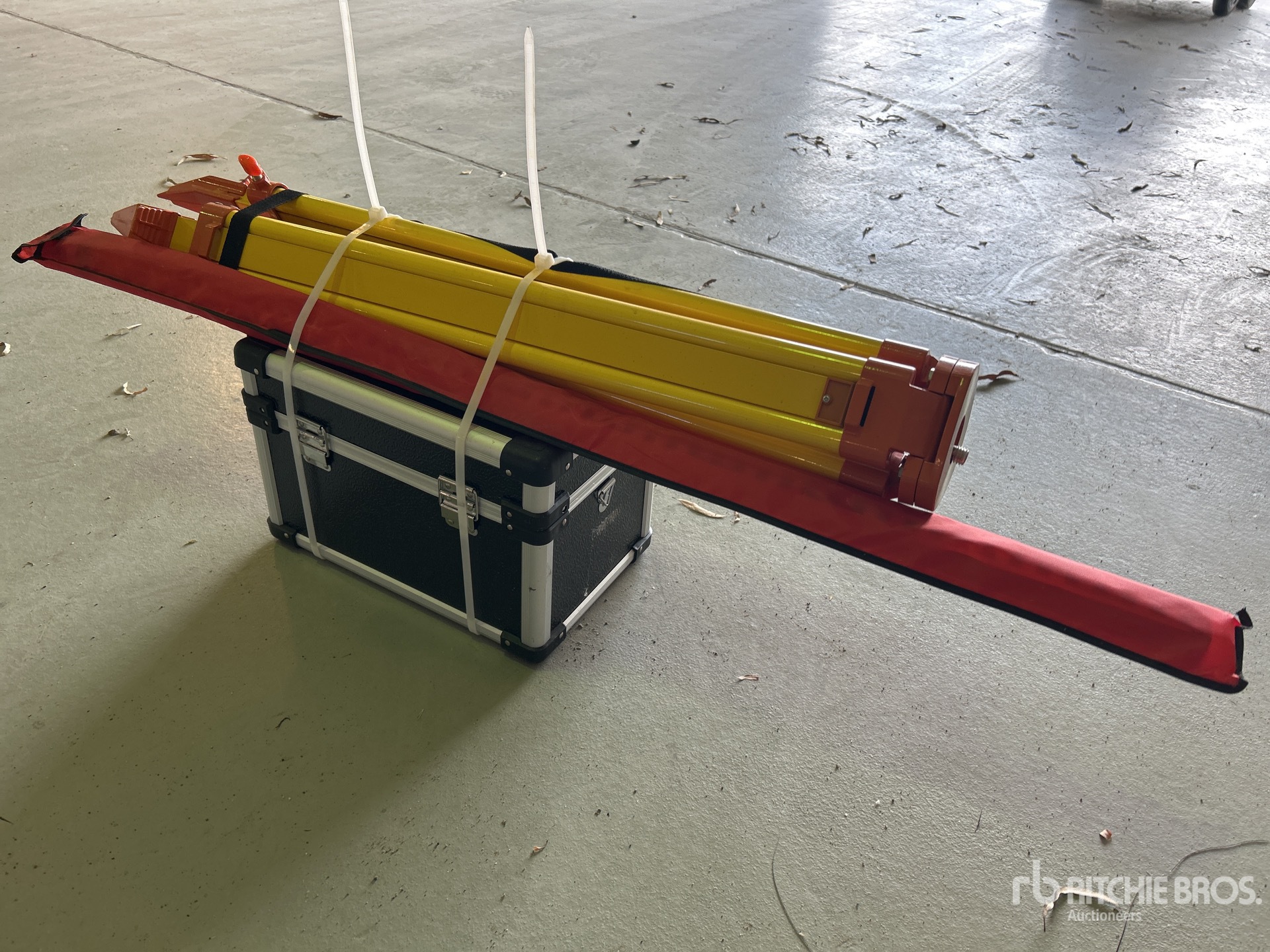 General Appearance with Image, coin arrière droit