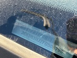 General Appearance with Second Serial Number/VIN Photo