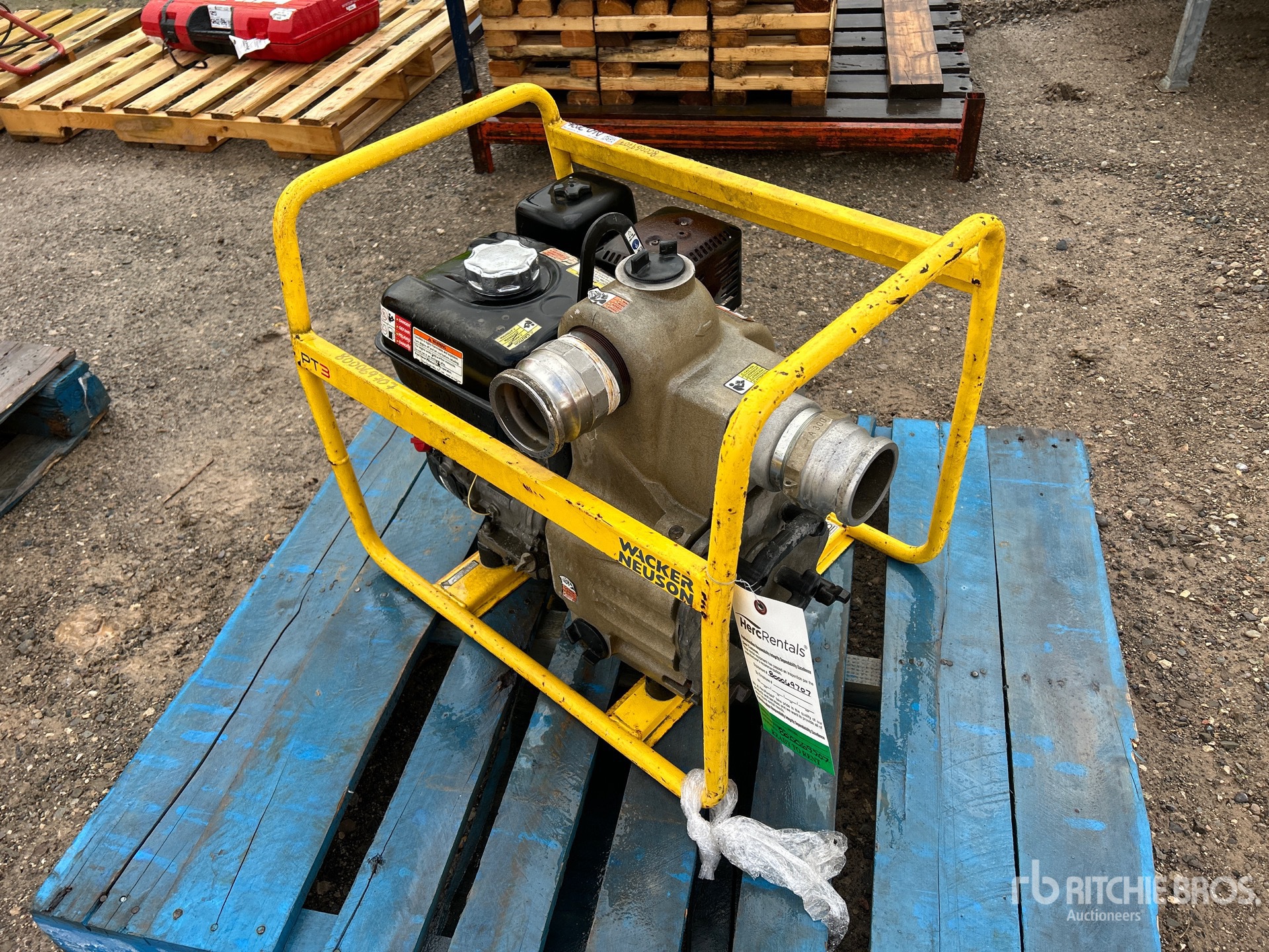 General Appearance with Bild, Ecke hinten rechts