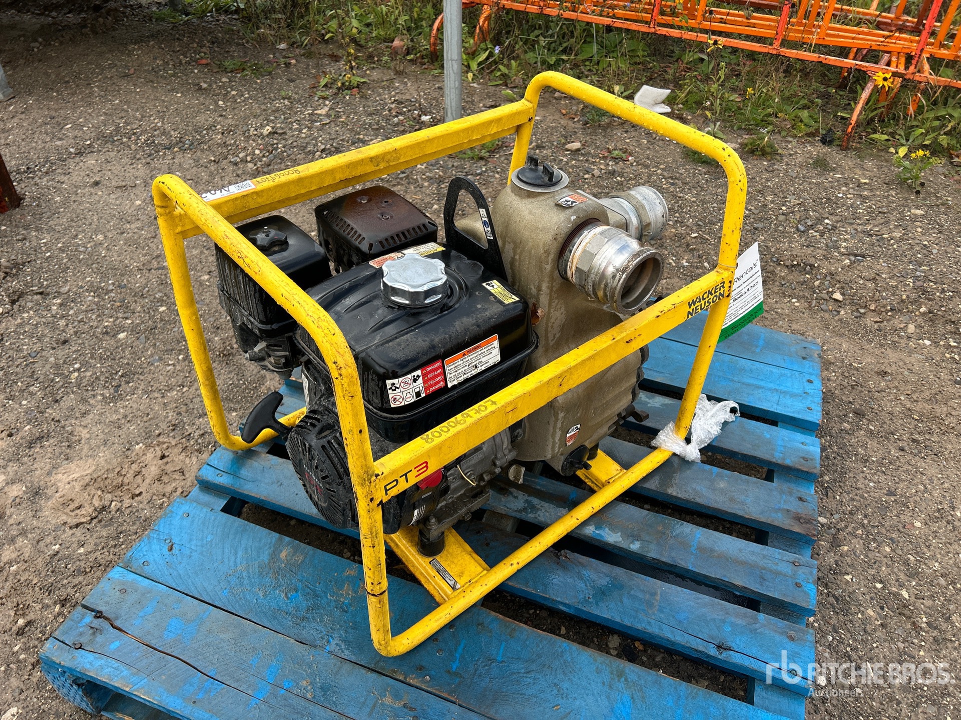 General Appearance with Bild, Ecke hinten links