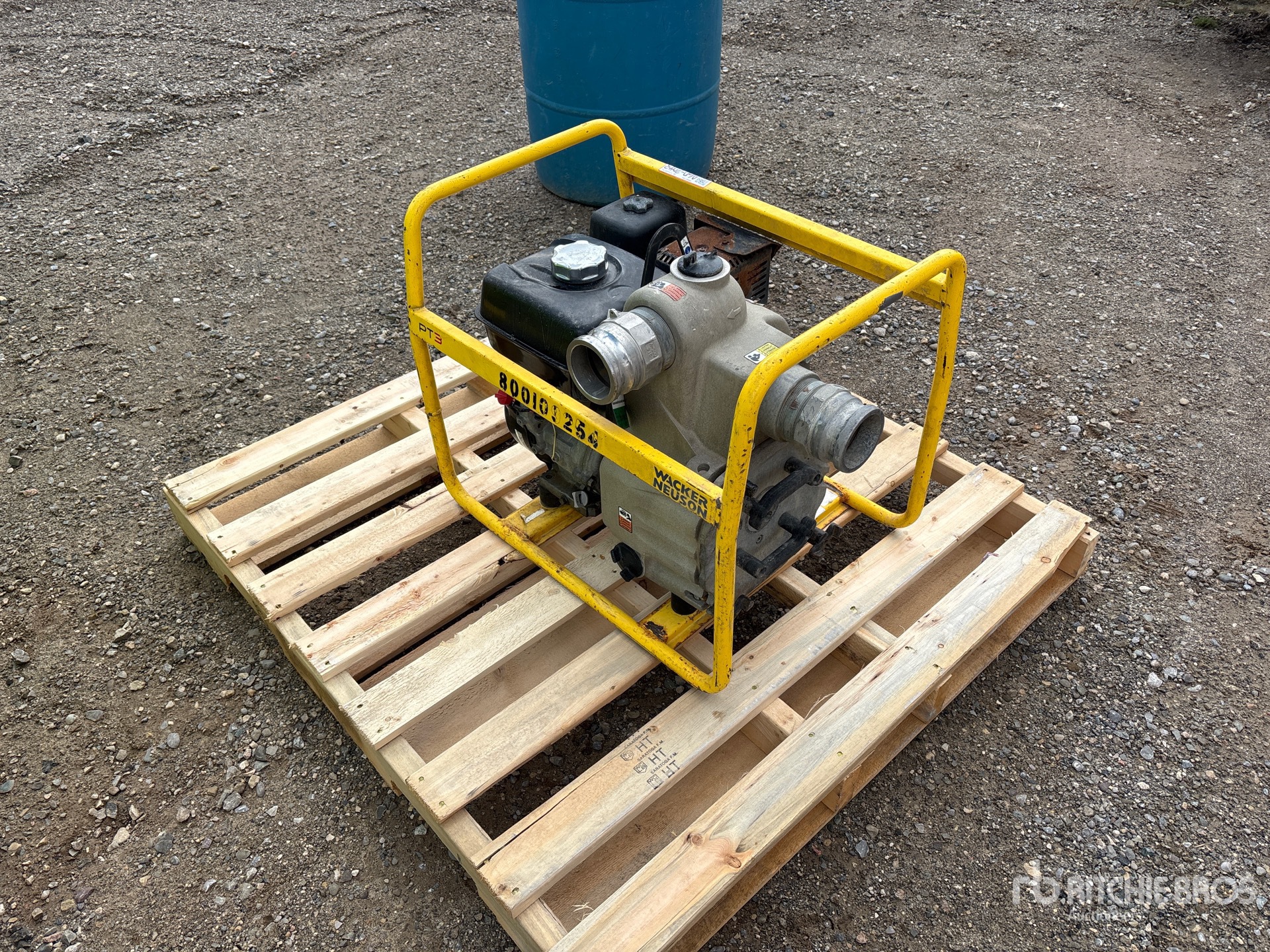 General Appearance with Bild, Ecke hinten links