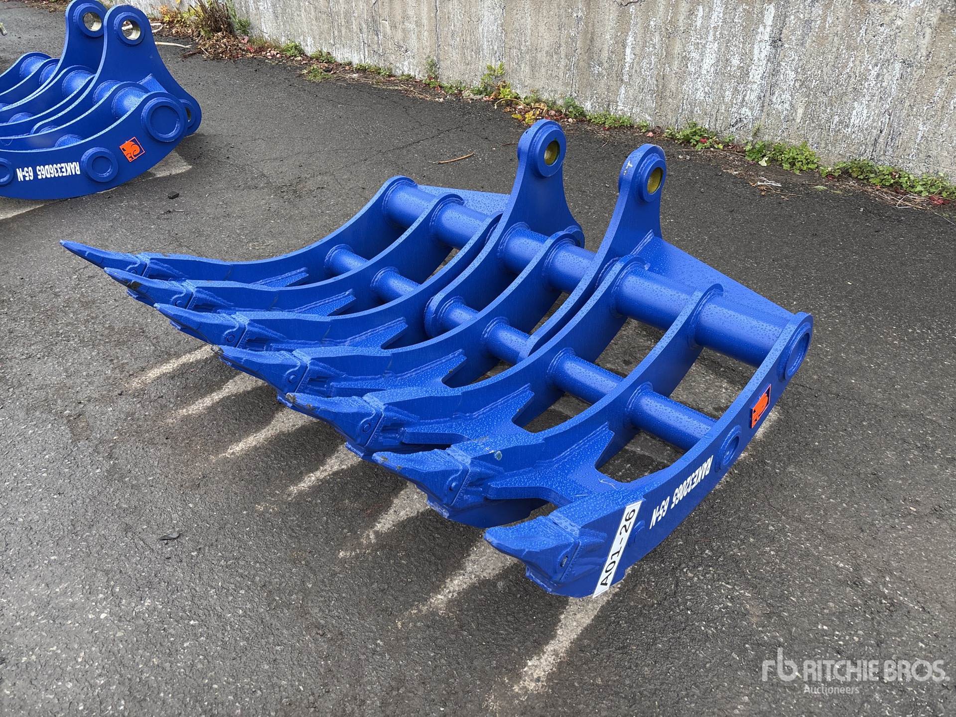 General Appearance with Foto, angolo anteriore sinistro