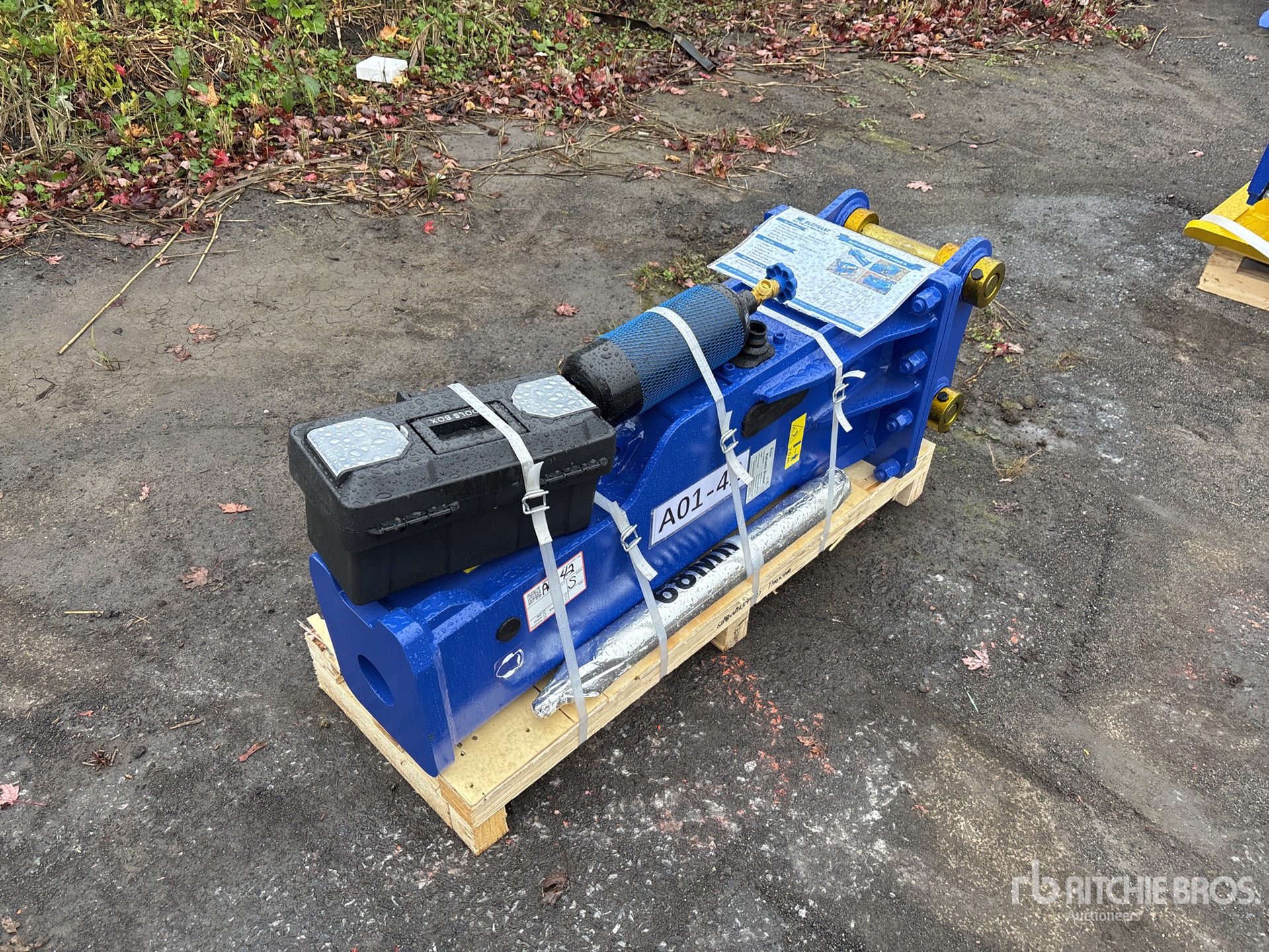 General Appearance with Bild, Ecke vorne rechts