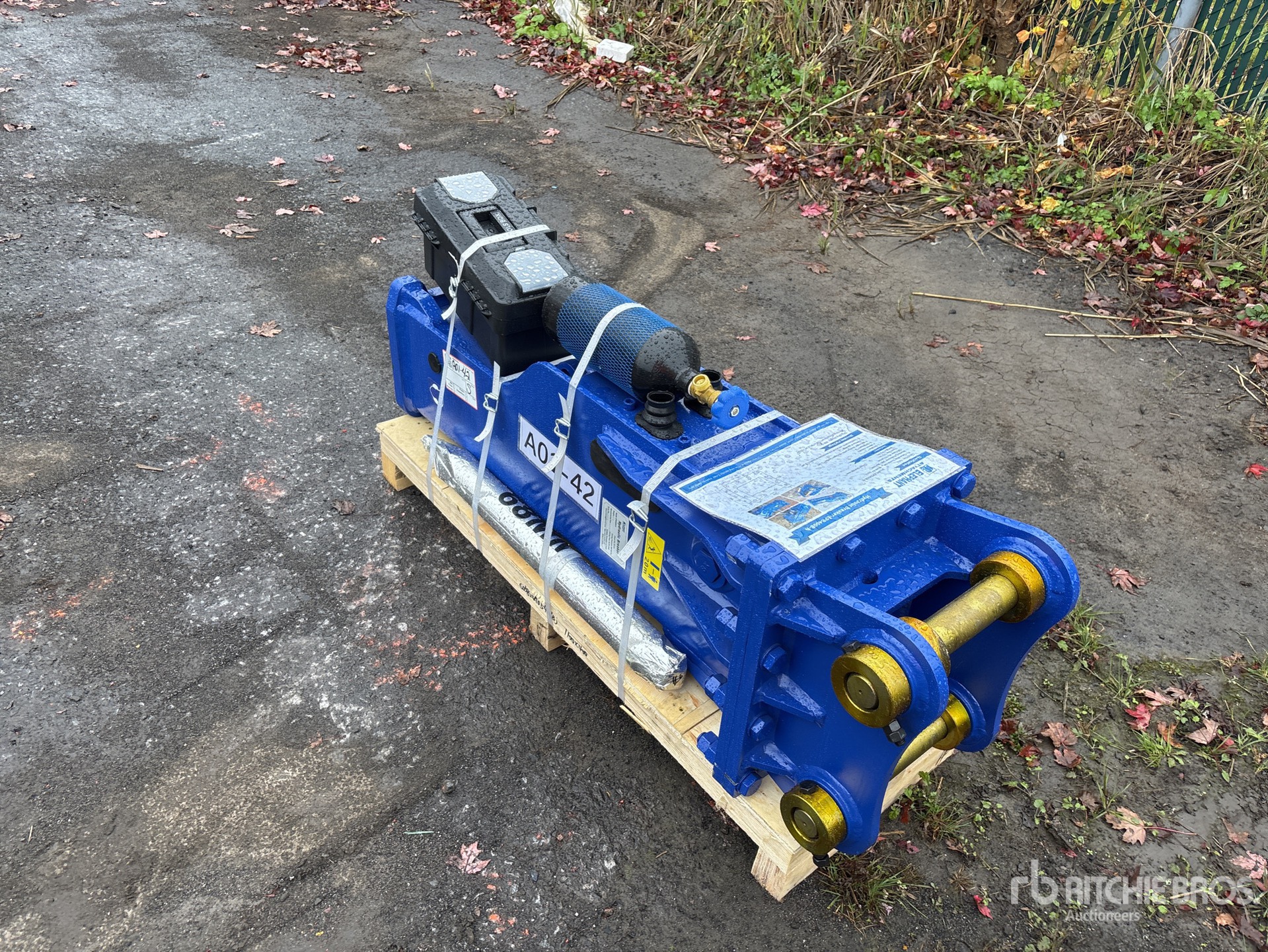 General Appearance with Bild, Ecke vorne links