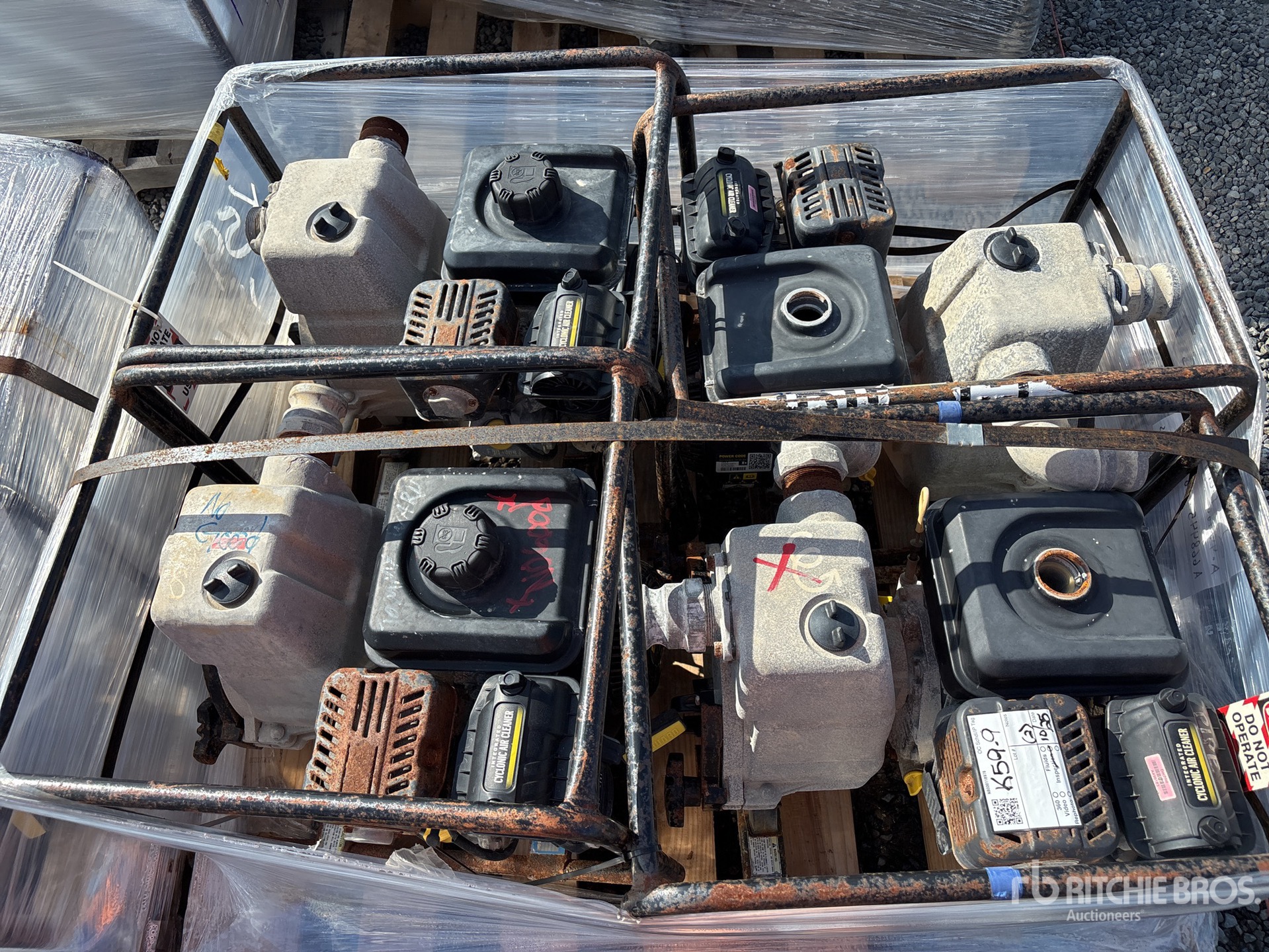 General Appearance with 