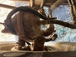 Brakes with 
