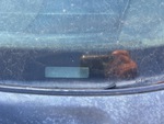 General Appearance with Second Serial Number/VIN Photo