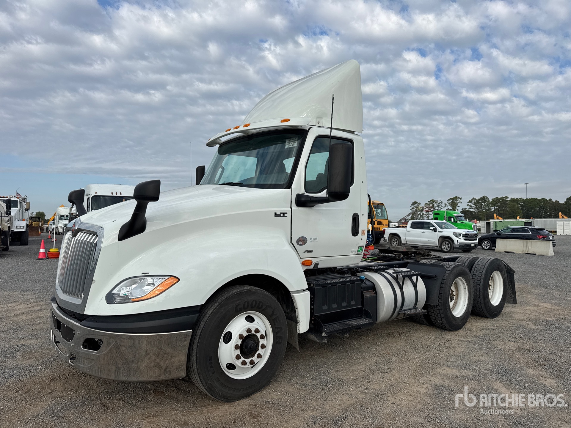 General Appearance with Spin