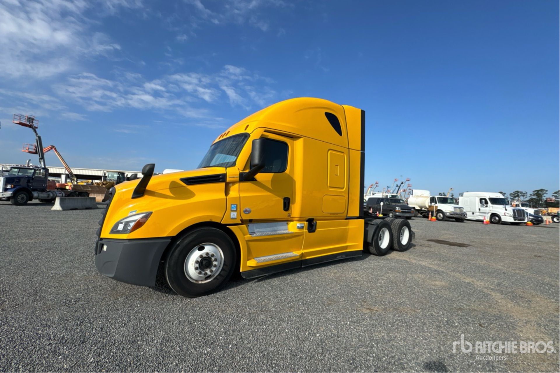 General Appearance with Spin