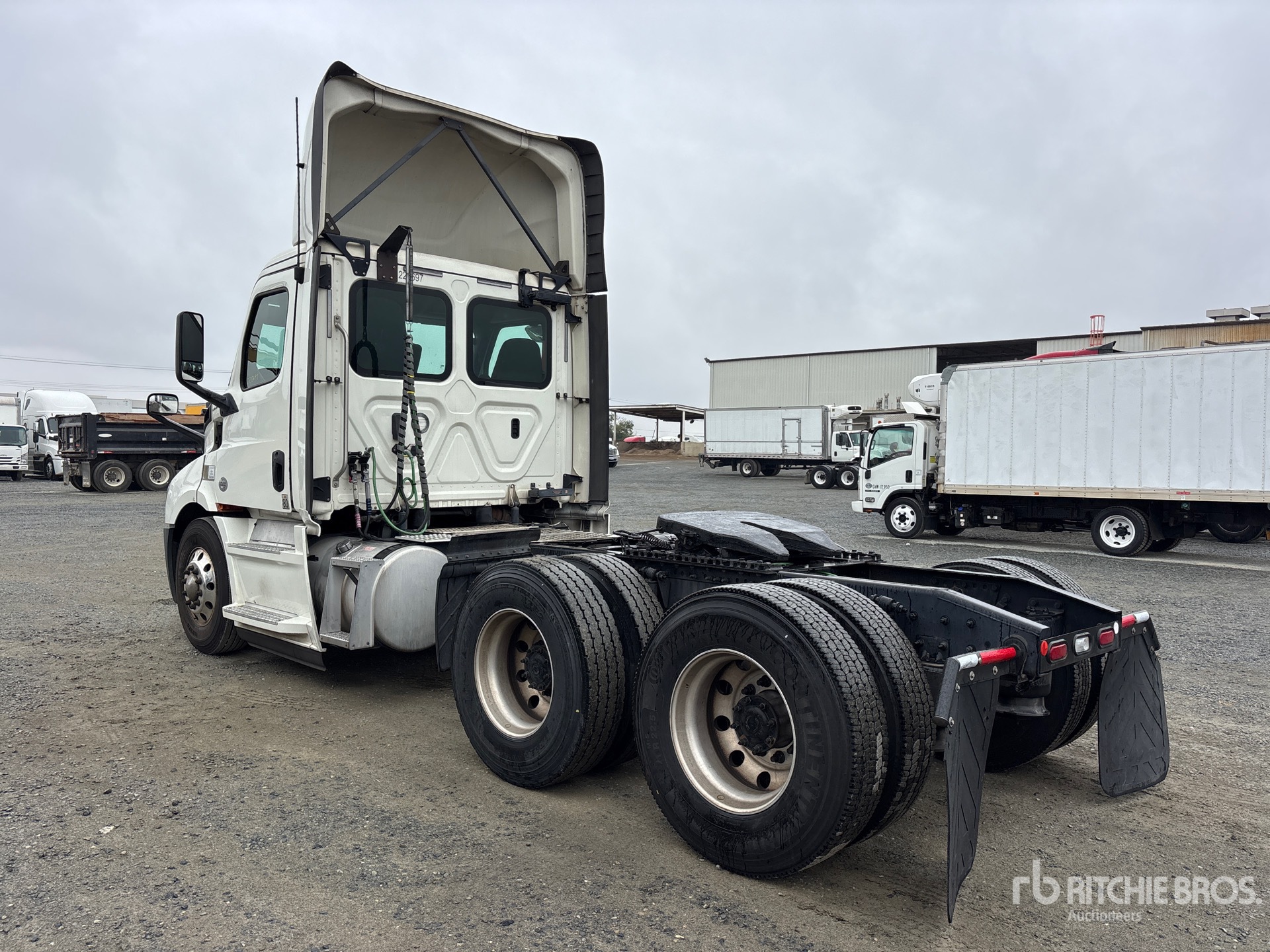 General Appearance with Bild, Ecke hinten links