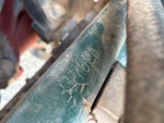 General Appearance with Second Serial Number/VIN Photo