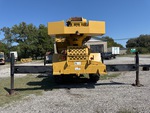 General Appearance with Paint