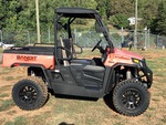 General Appearance with Paint