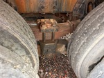 Underbody with 
