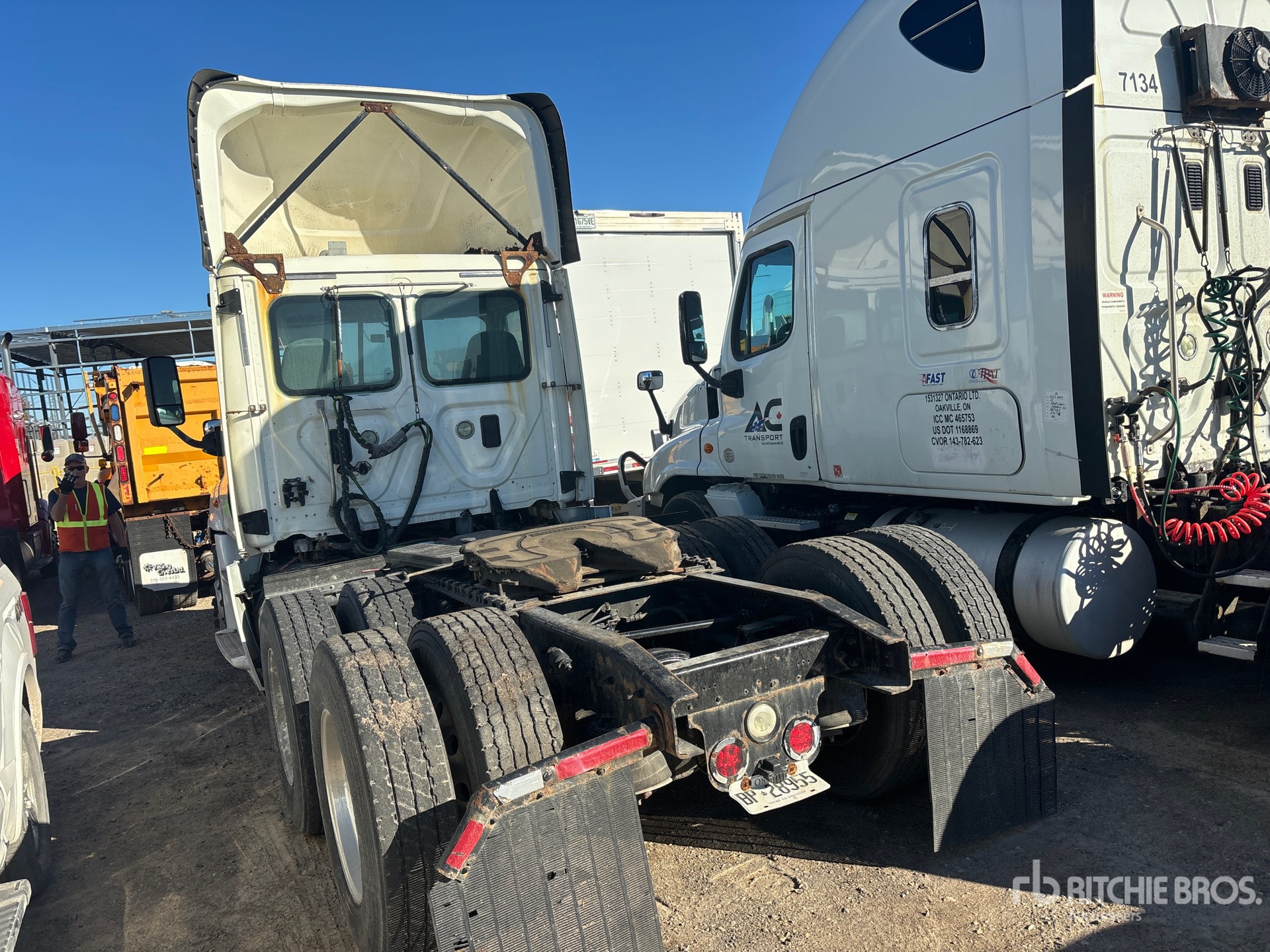 General Appearance with Bild, Ecke hinten links