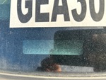 General Appearance with Second Serial Number/VIN Photo