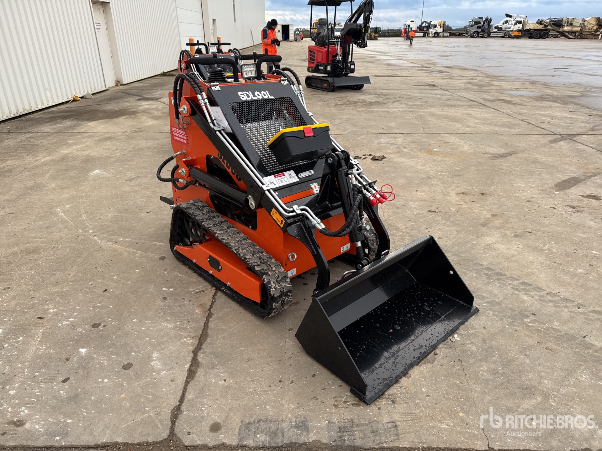 General Appearance with