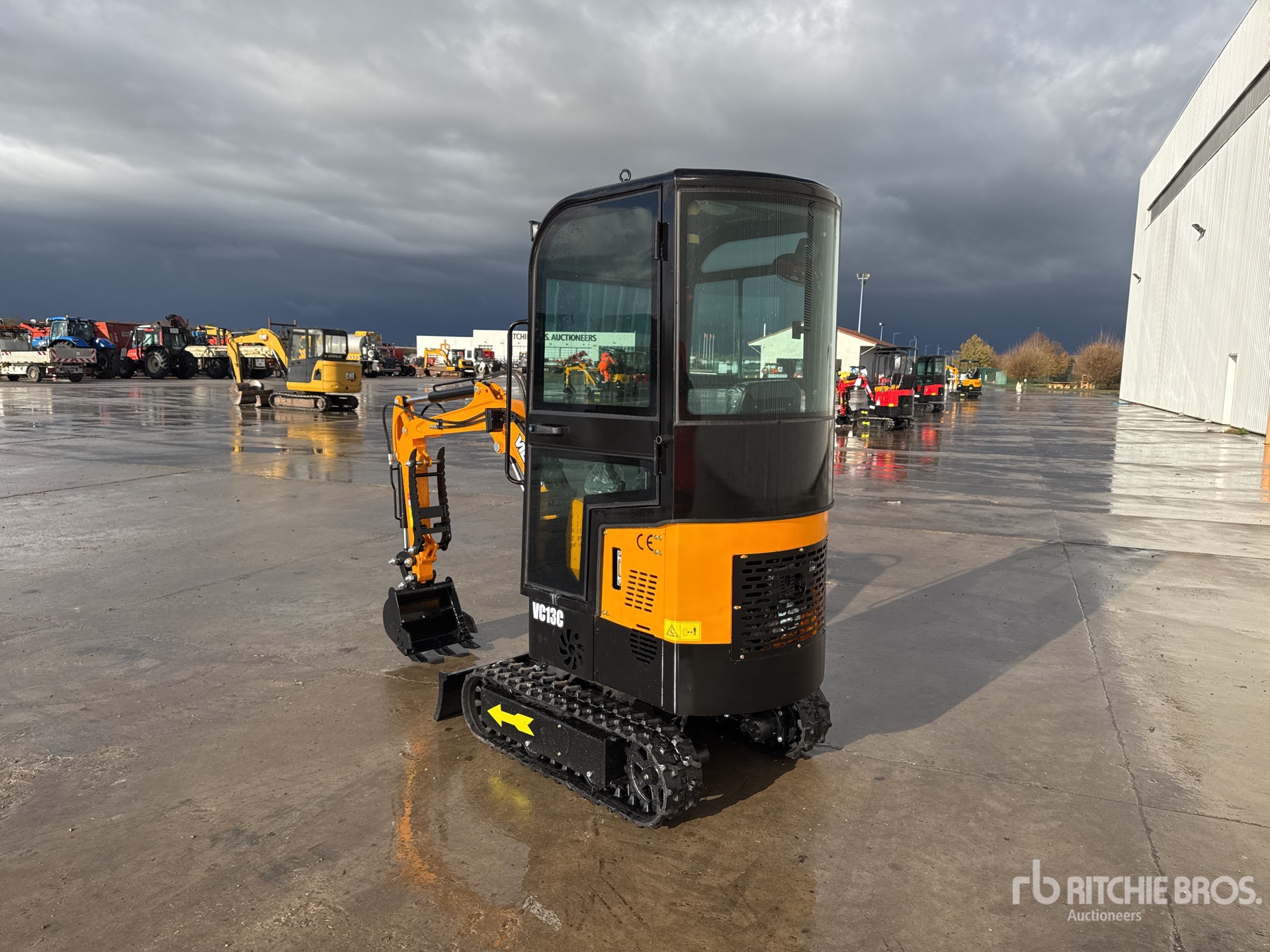 General Appearance with 