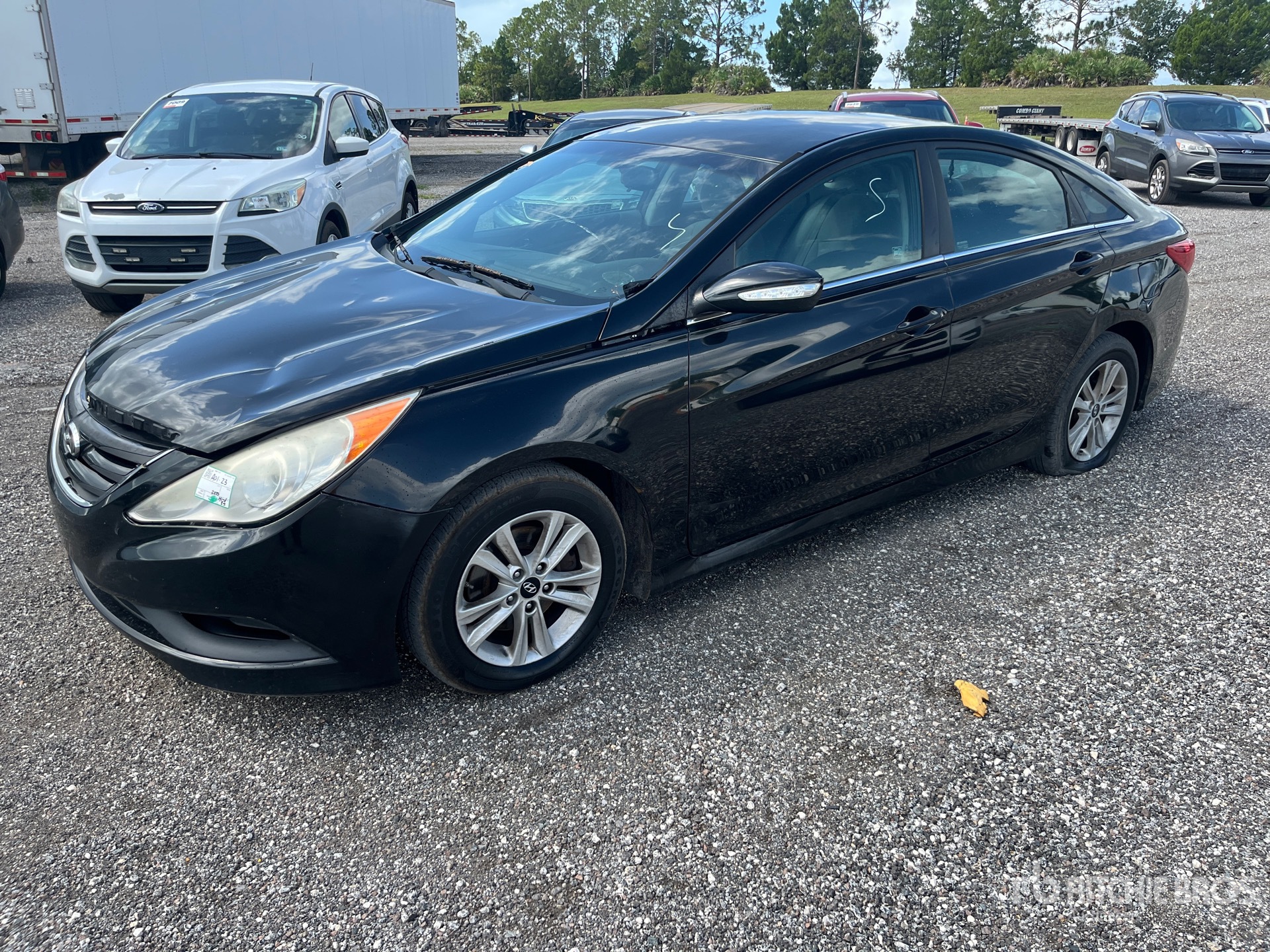 General Appearance with Featured Photo