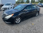 General Appearance with Featured Photo