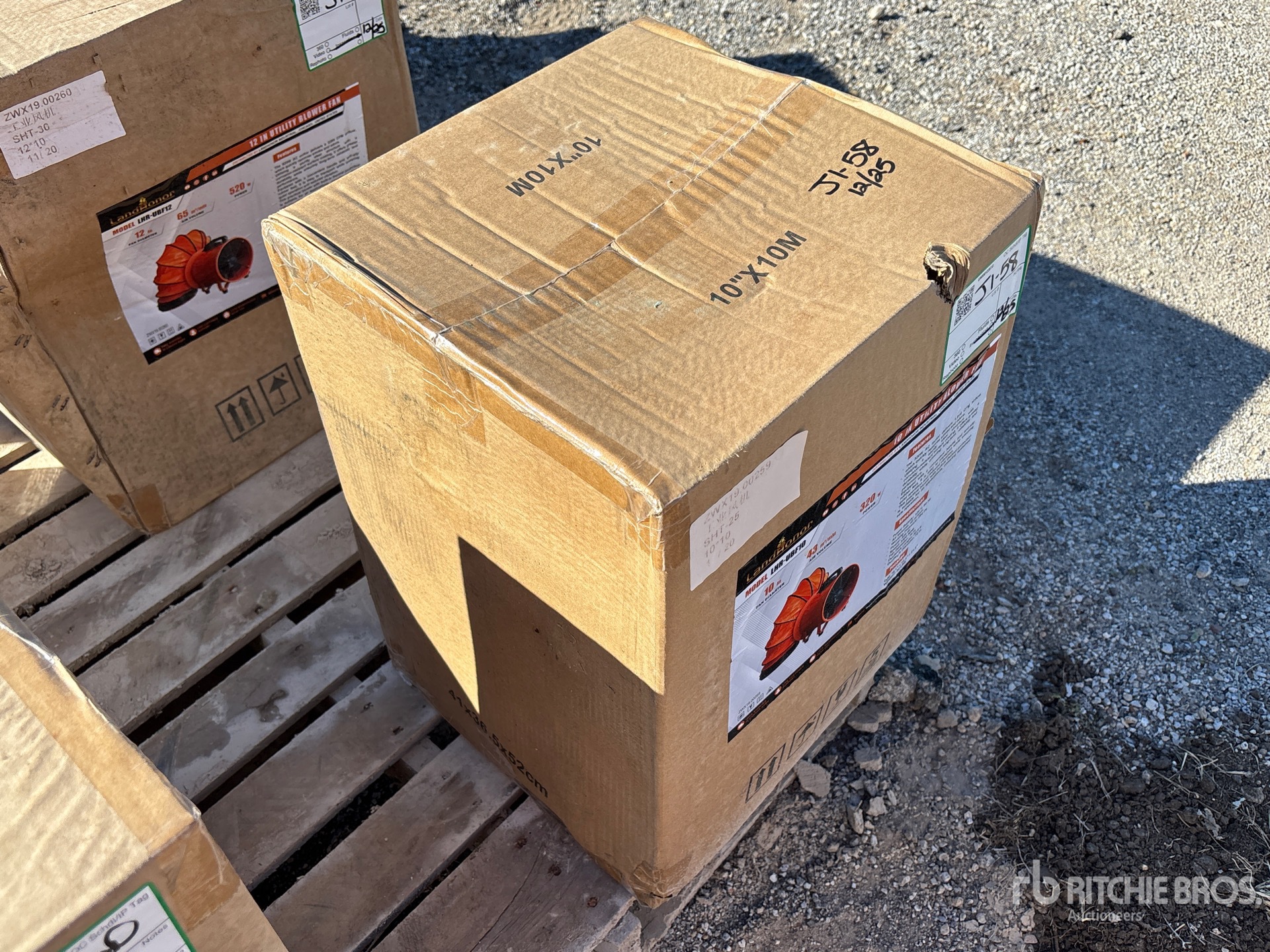 General Appearance with Zdjęcie, prawy górny róg