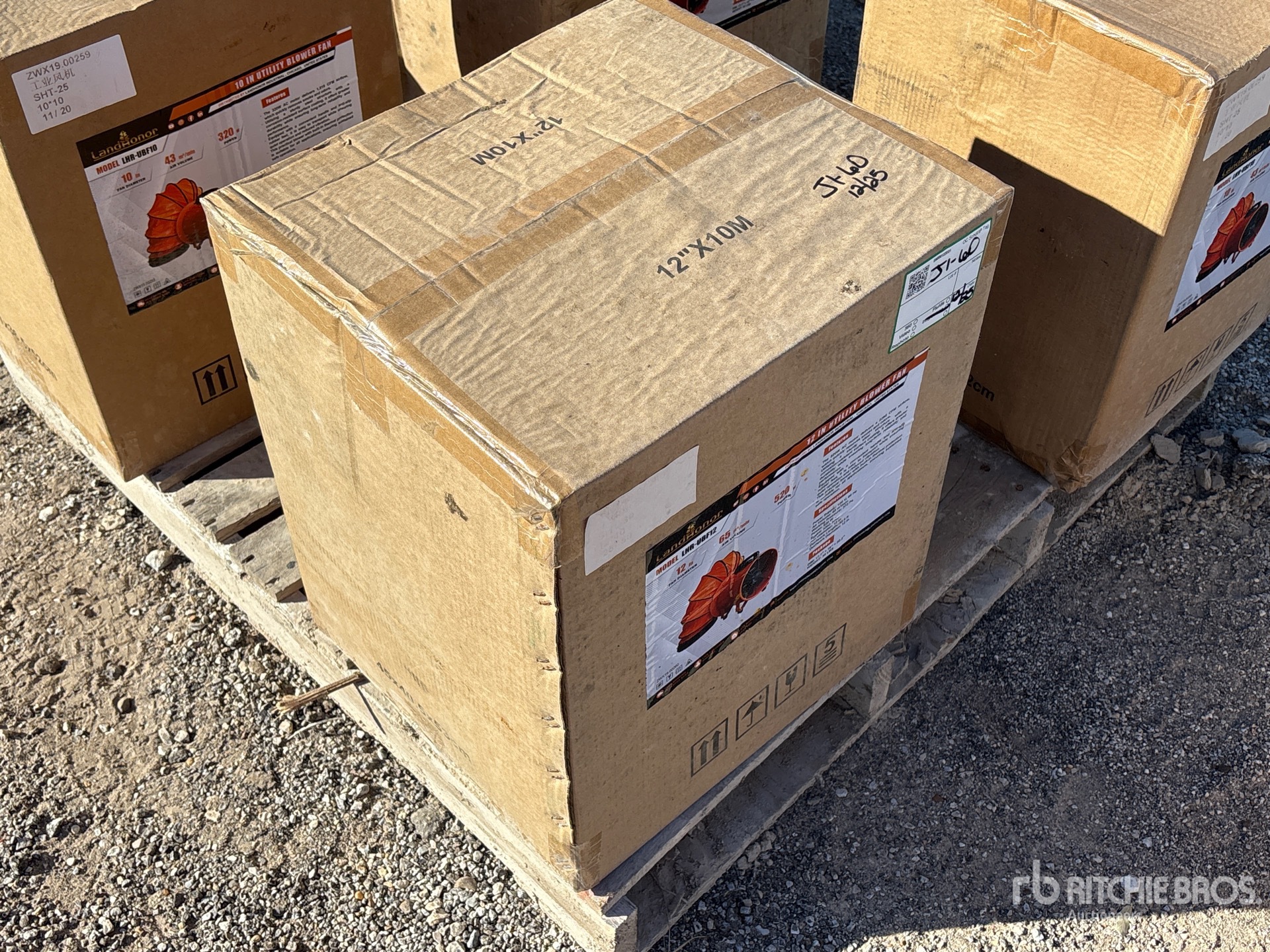 General Appearance with Zdjęcie, prawy górny róg