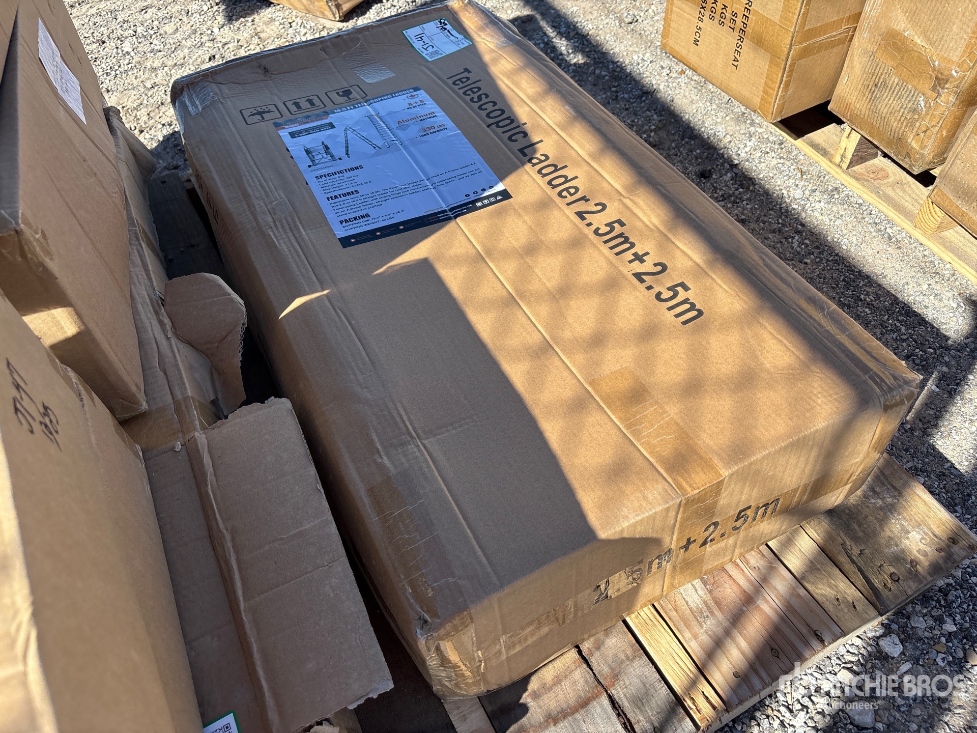 General Appearance with Zdjęcie, prawy dolny róg