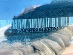 General Appearance with Second Serial Number/VIN Photo