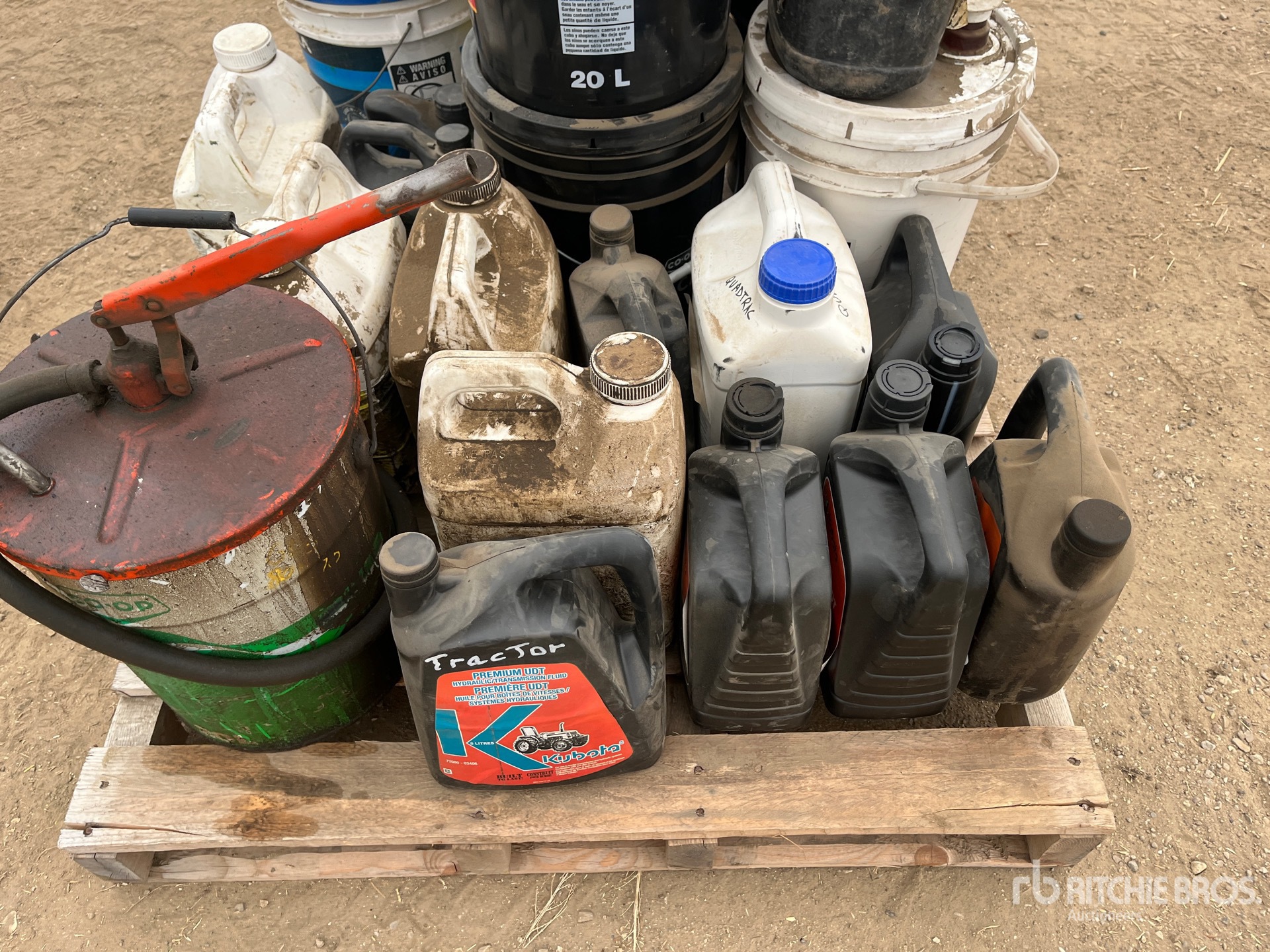 General Appearance with 