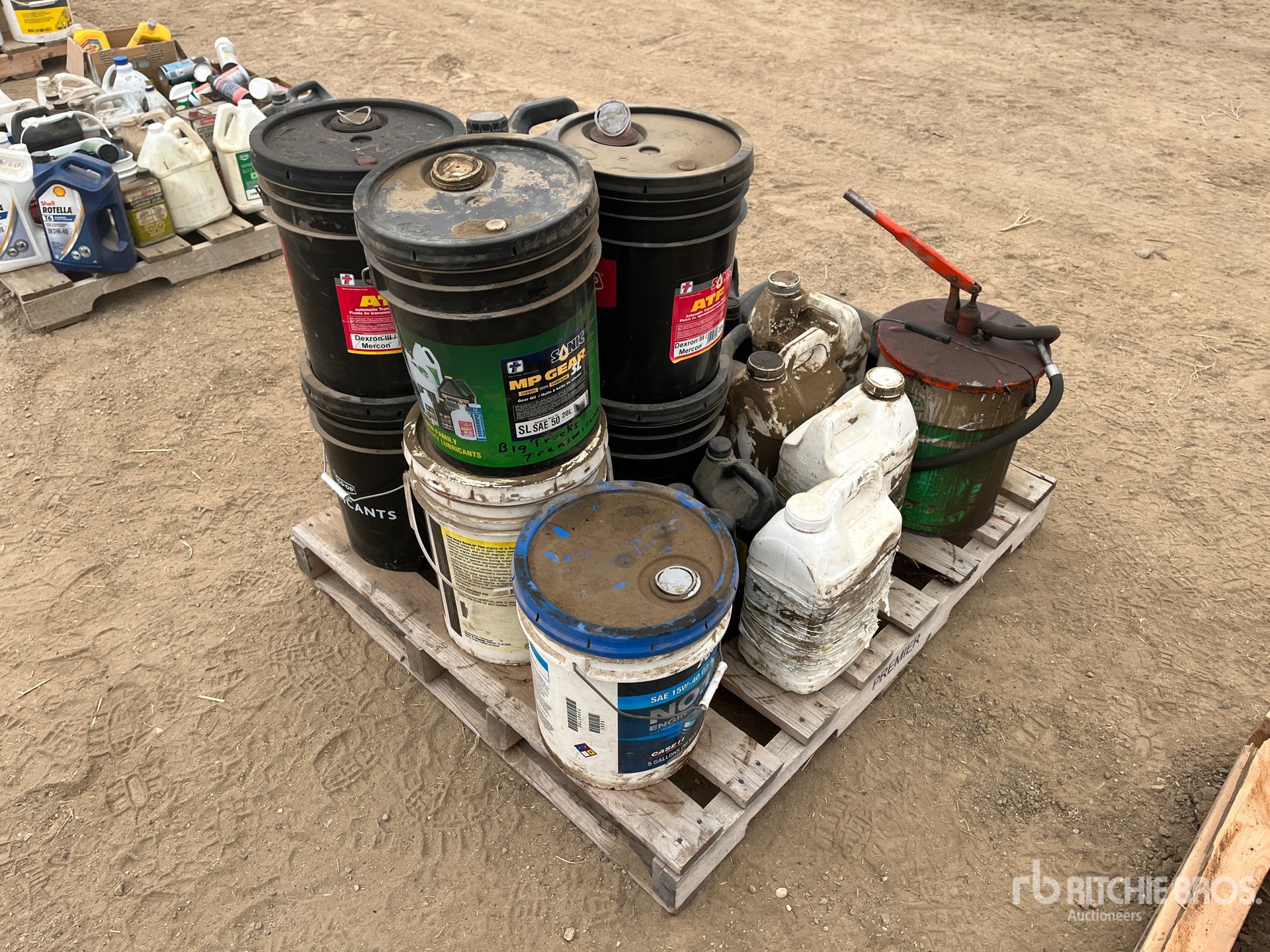 General Appearance with 