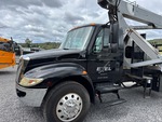 General Appearance with Paint