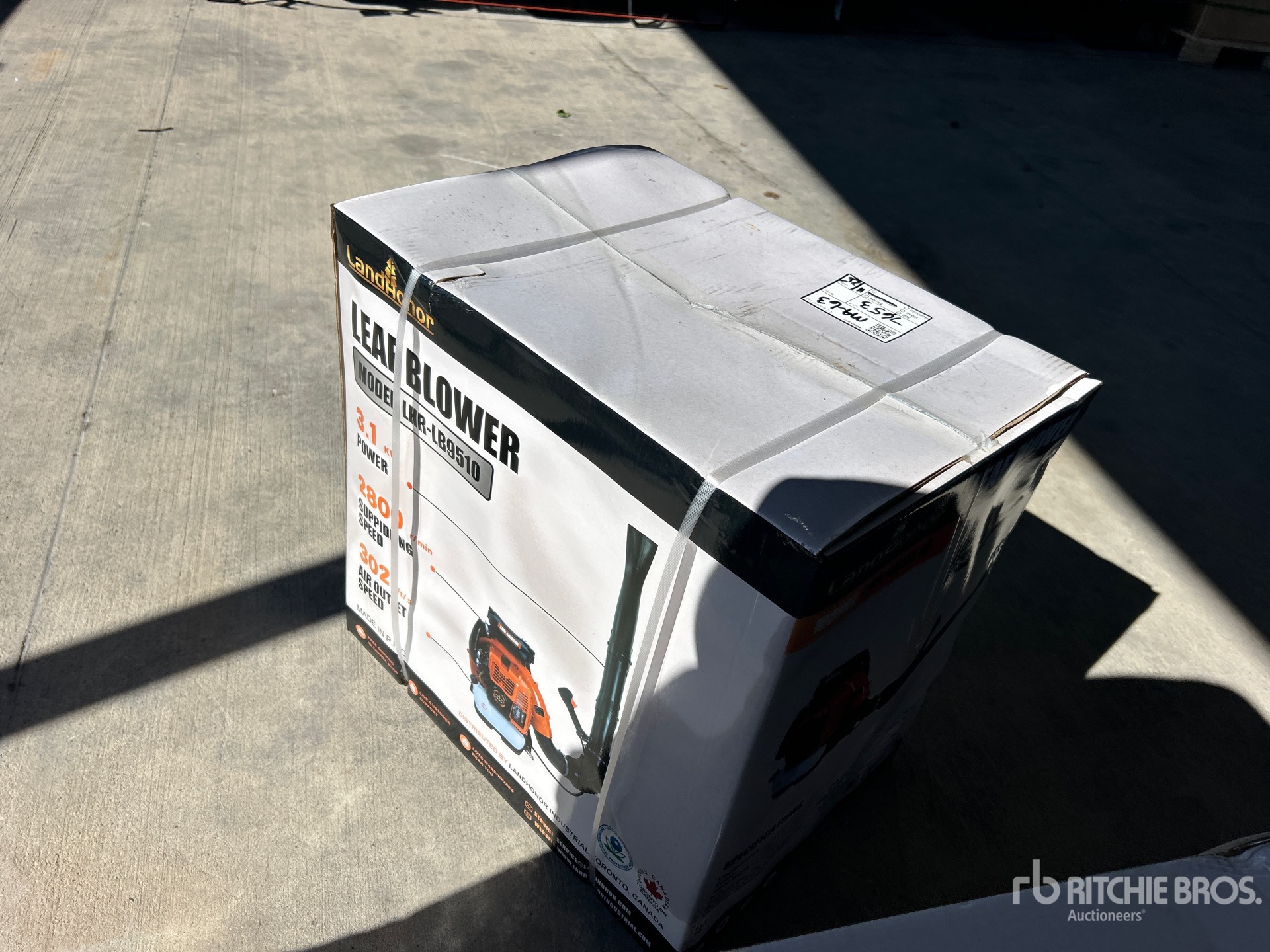 General Appearance with Picture, Right Rear Corner