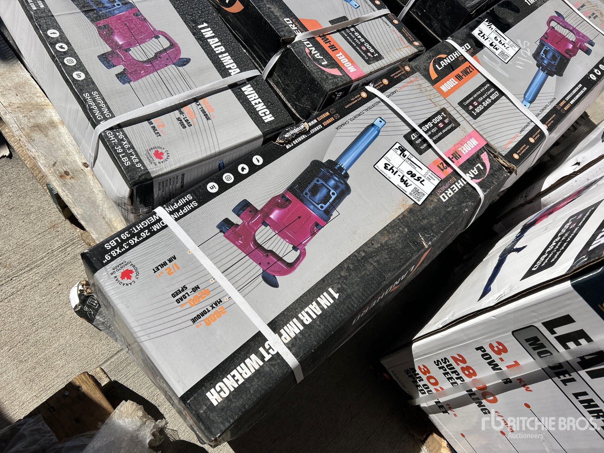 General Appearance with Bild, Ecke hinten links