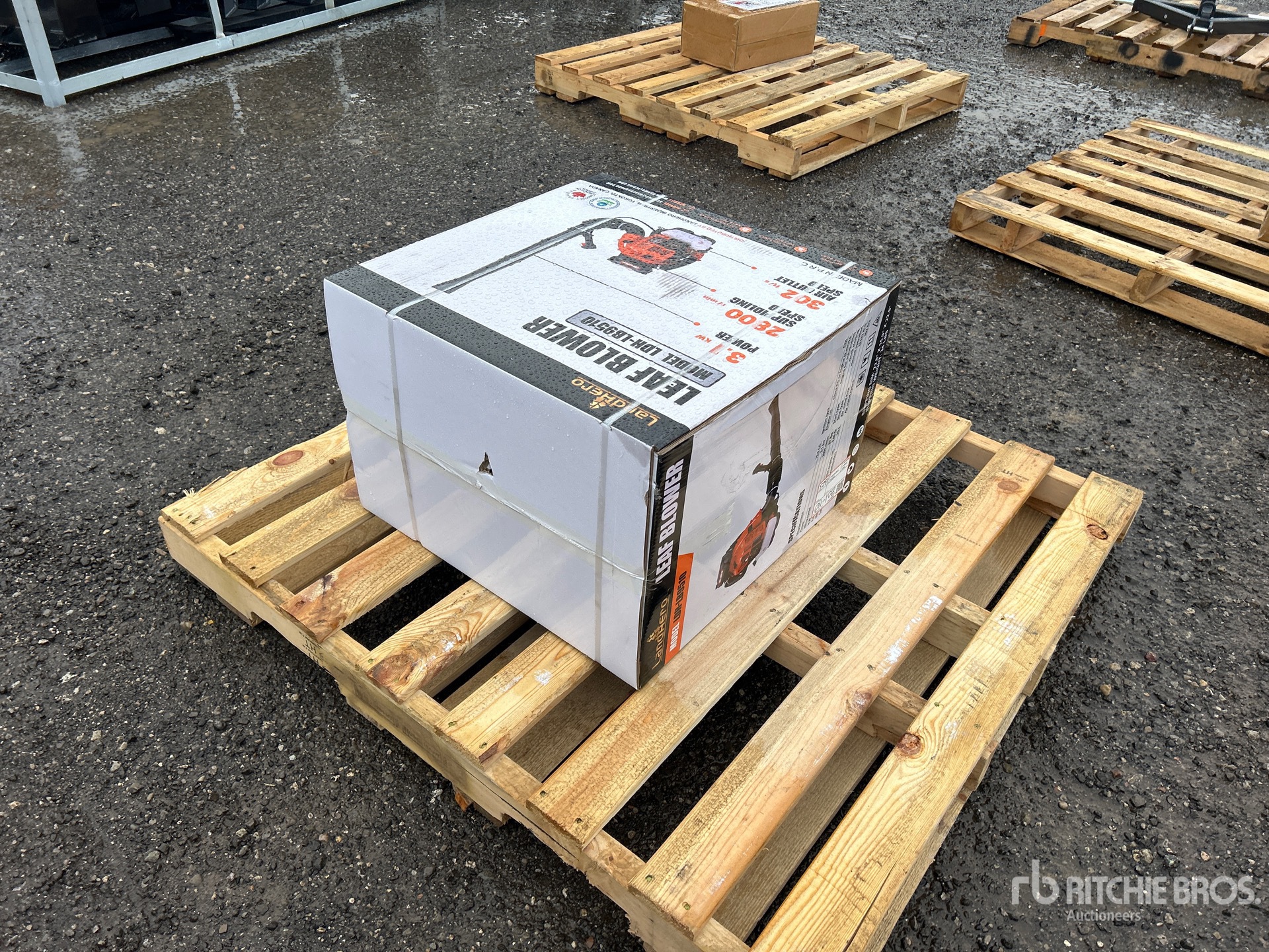 General Appearance with Picture, Left Front Corner