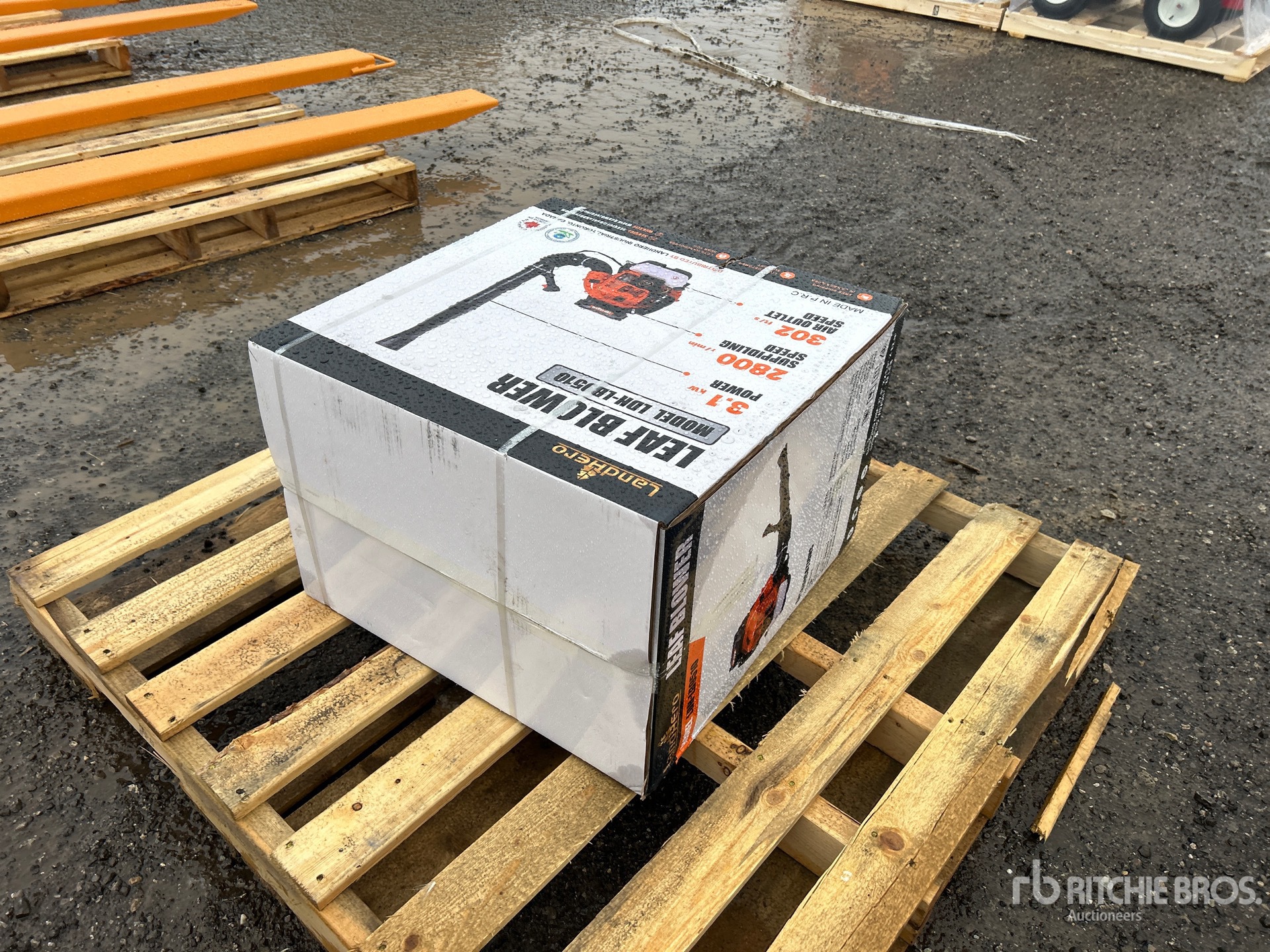 General Appearance with Picture, Left Front Corner