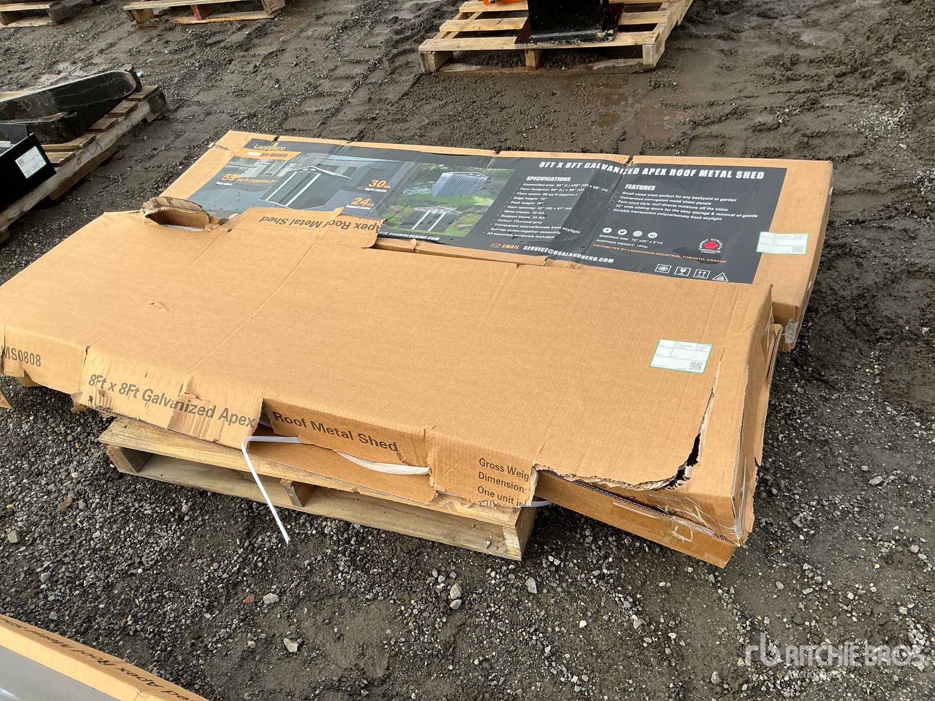 General Appearance with 