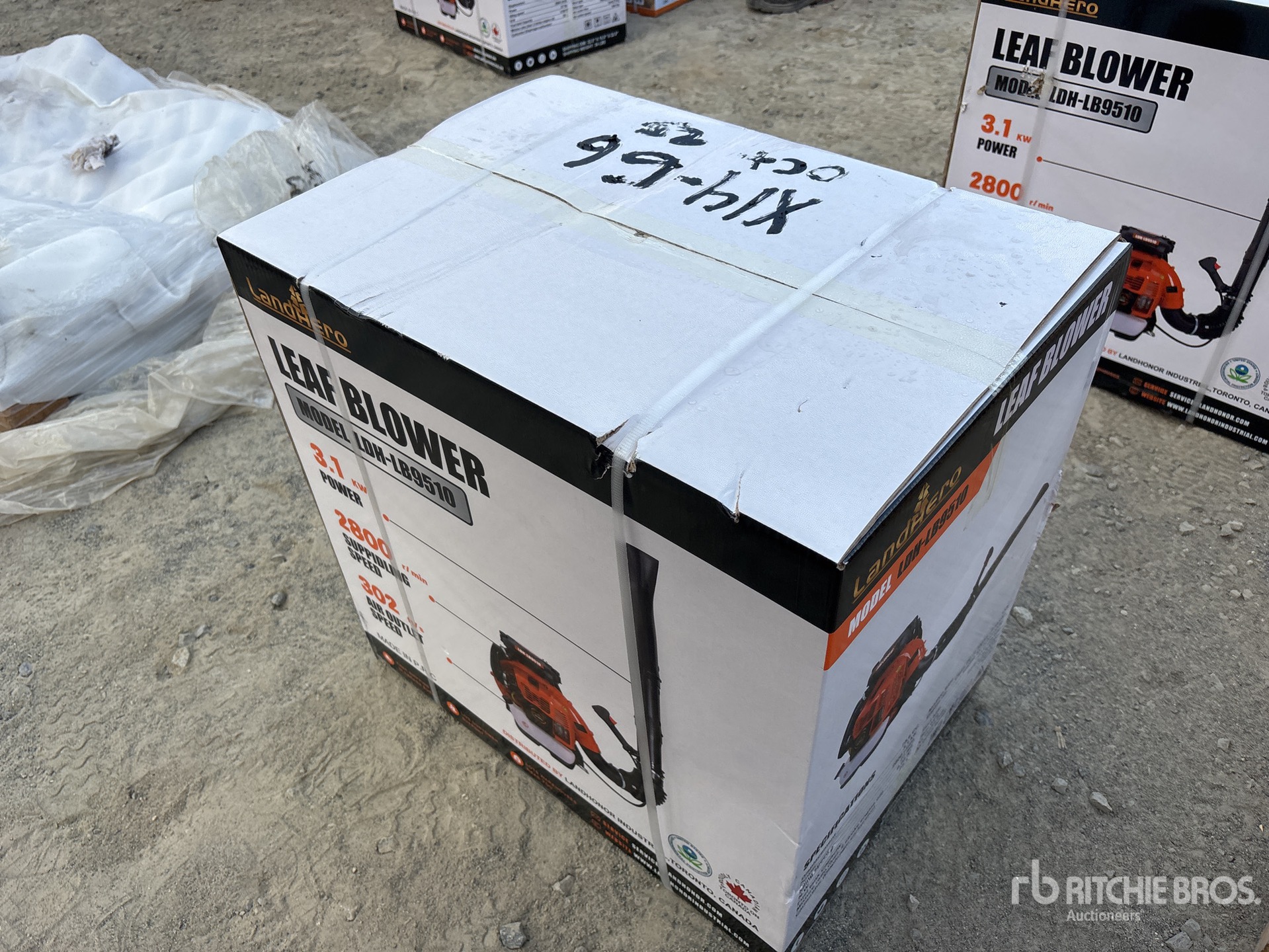 General Appearance with Picture, Right Rear Corner